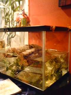 080301_1909~01.jpg