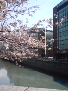 080325_1152~01.jpg