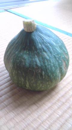 080902_1326~01.jpg
