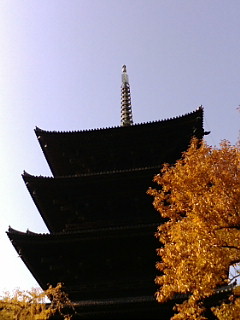20071202113147.jpg