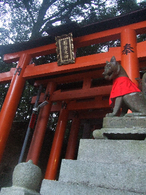 inari.png