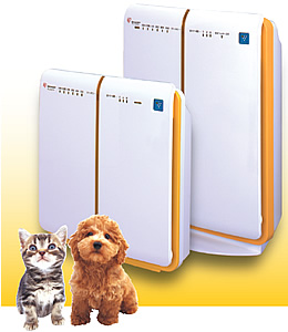 pet_sol_p1.jpg